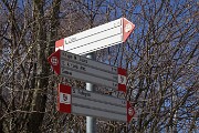 36 15' in decisa  salita per il Monte Zucco